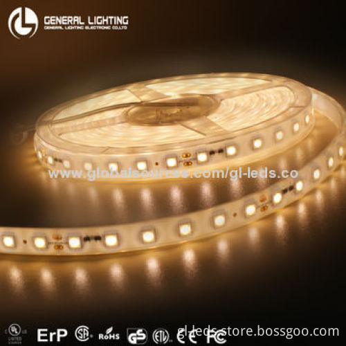 60 LEDs/M Dimmable 72W LED Rope Lighting